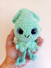 Squid small