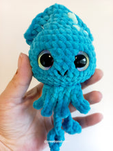 Squid small