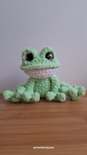 Poppy the frog