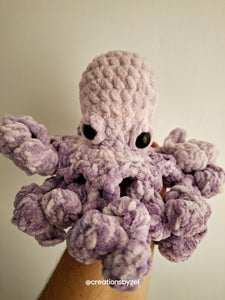 Paula the Octopus