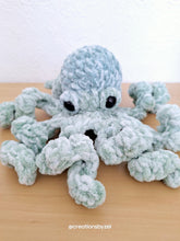 Paula the Octopus