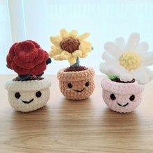 Potted Flower
