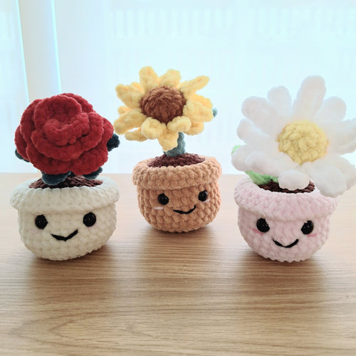 Potted Flower