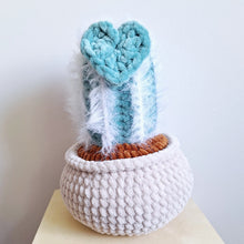 Fuzzy heart cactus