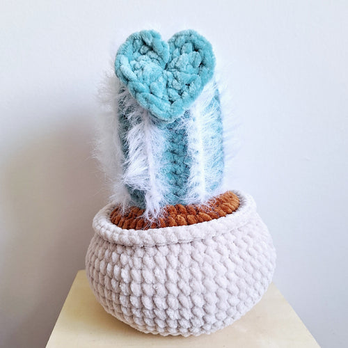 Fuzzy heart cactus