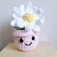 Potted Flower