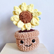 Potted Flower