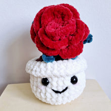 Potted Flower