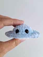Stingray small