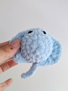 Stingray small