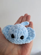 Stingray small