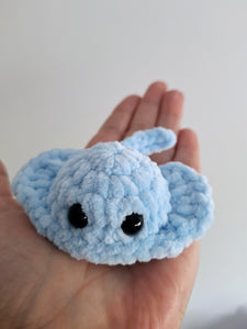 Stingray small