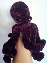 Paula the Octopus