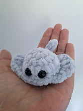 Stingray small