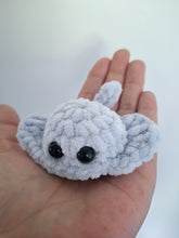 Stingray small