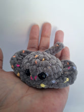 Stingray small