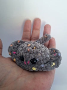 Stingray small