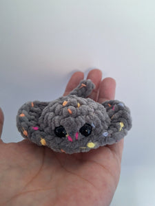 Stingray small