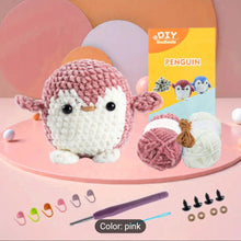 DIY Crochet Kit