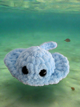 Stingray small