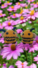 Chunky bee