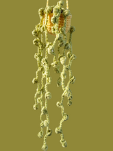 Hanging string of pearls