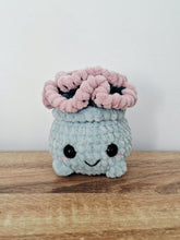 Plush succulent