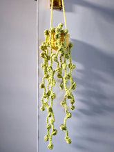 Hanging string of pearls