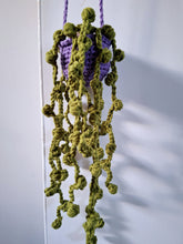 Hanging string of pearls