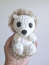 Henry the baby hedgehog