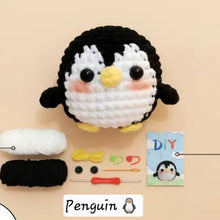 DIY Crochet Kit