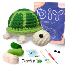 DIY Crochet Kit
