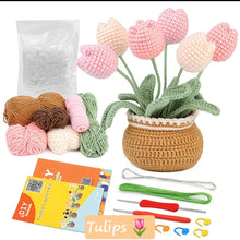 DIY Crochet Kit