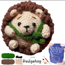 DIY Crochet Kit