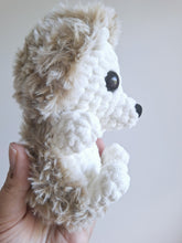 Henry the baby hedgehog