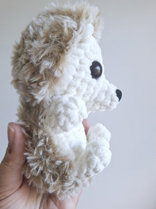 Henry the baby hedgehog