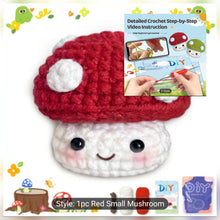 DIY Crochet Kit
