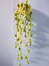 Hanging string of pearls