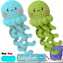 DIY Crochet Kit