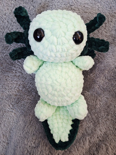 Ava the baby axolotl