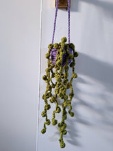 Hanging string of pearls