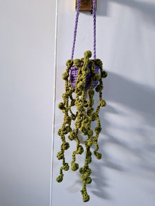 Hanging string of pearls